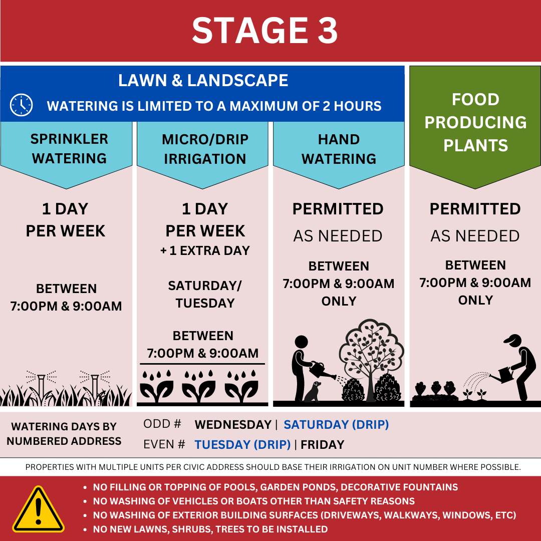 Stage 3
