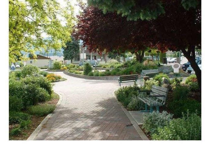 A stone pathway with a park bench and shady tree