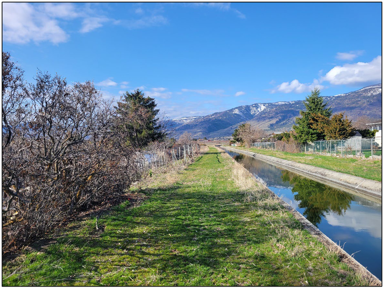 green path along canal with blue water